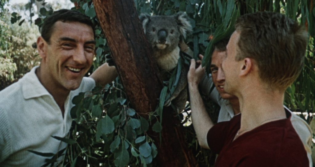 Koala fandí Spartě v Ponrepu